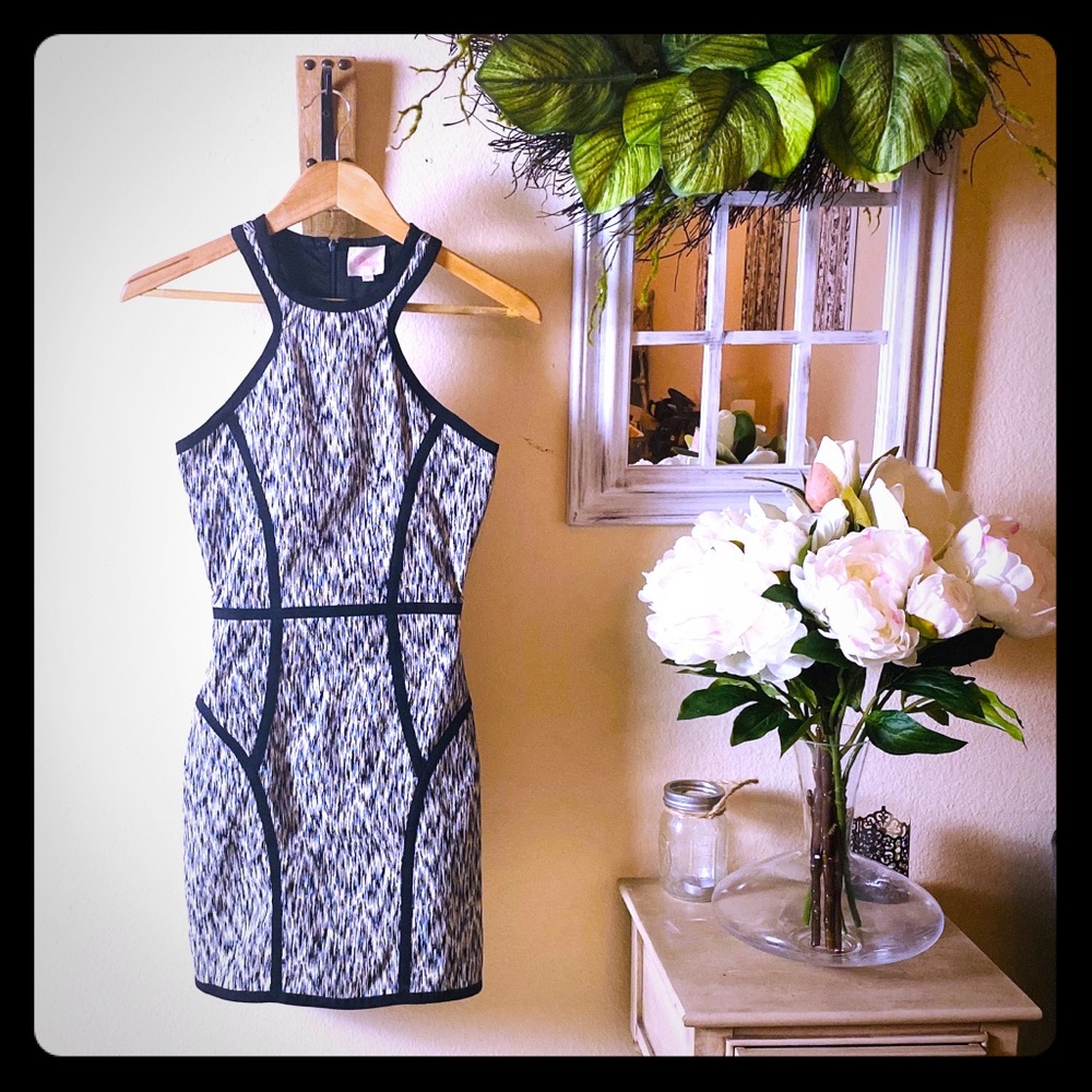 Parker Sleeveless Mini Dress